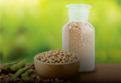 Products-INDIAN-SOYBEAN-MEAl-FAQ