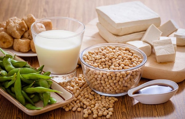 The Versatility of Soya: Exploring the Many Uses of Soya Bean Meal and Oil